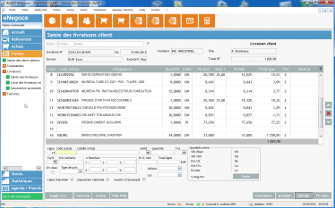 capture d'écran de negoce, logiciel de gestion commerciale